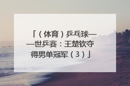 （体育）乒乓球——世乒赛：王楚钦夺得男单冠军（3）